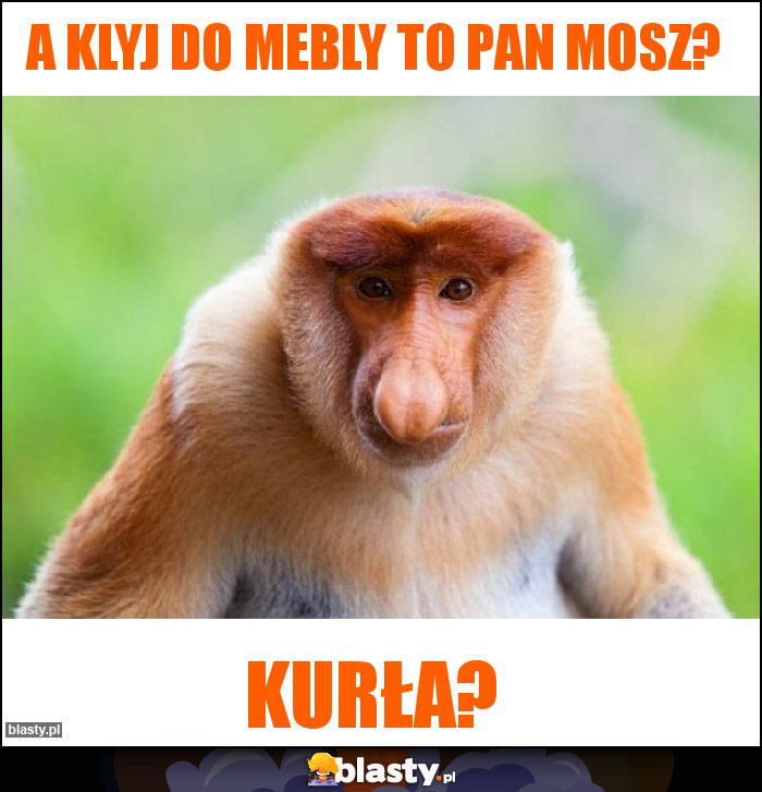 a klyj do mebly to pan mosz?