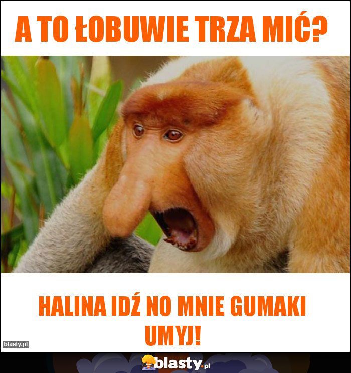 A to łobuwie trza mić?