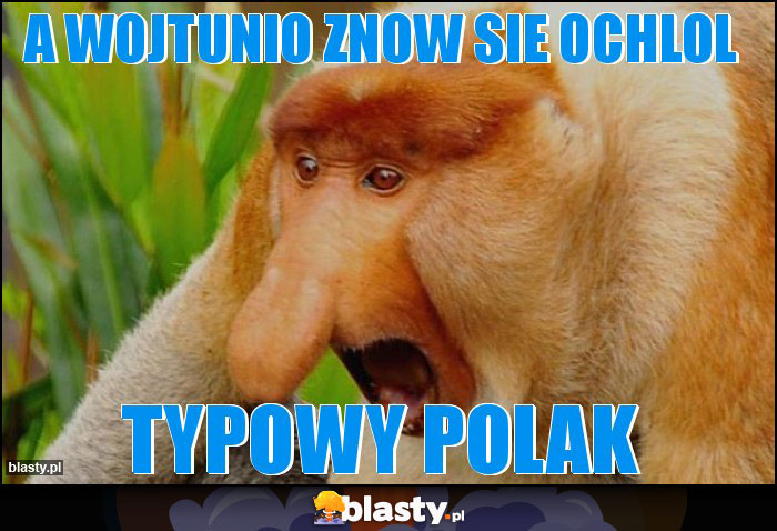 A wojtunio znow sie ochlol