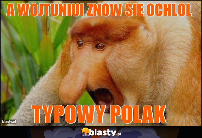 A wojtuniui znow sie ochlol