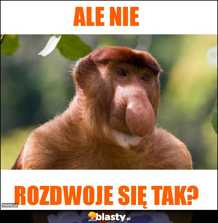 ALE NIE