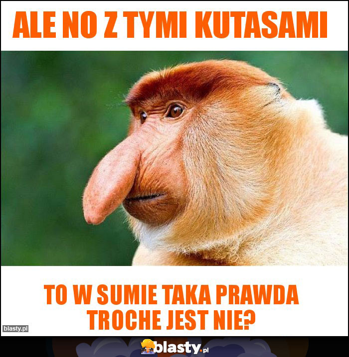 ALE NO Z TYMI KUTASAMI