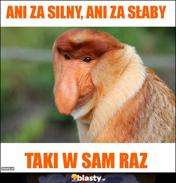 Ani za silny, ani za słaby