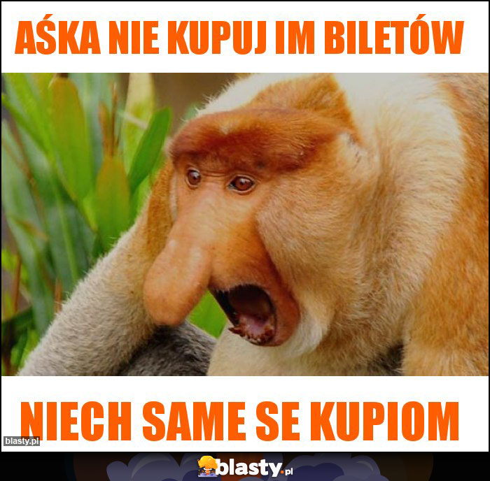 Aśka nie kupuj im biletów