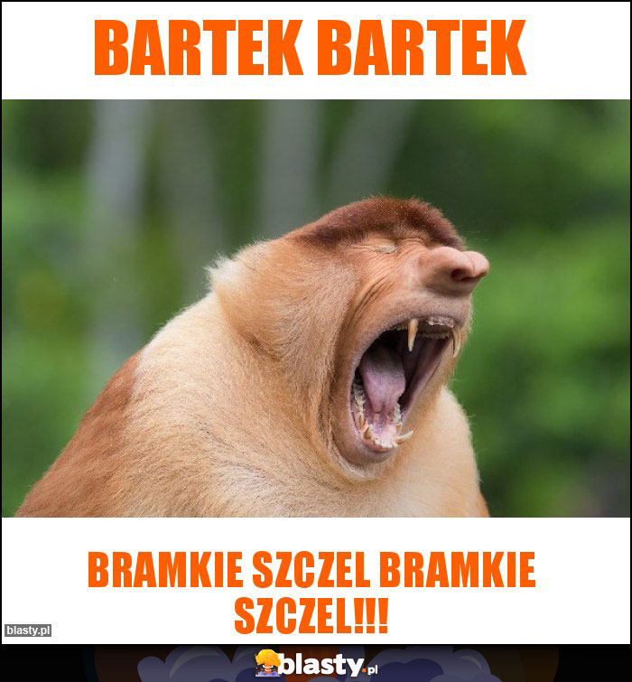 Bartek Bartek