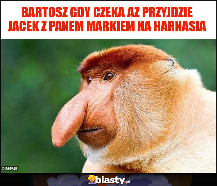 BARTOSZ GDY CZEKA AZ PRZYJDZIE JACEK Z PANEM MARKIEM NA HARNASIA