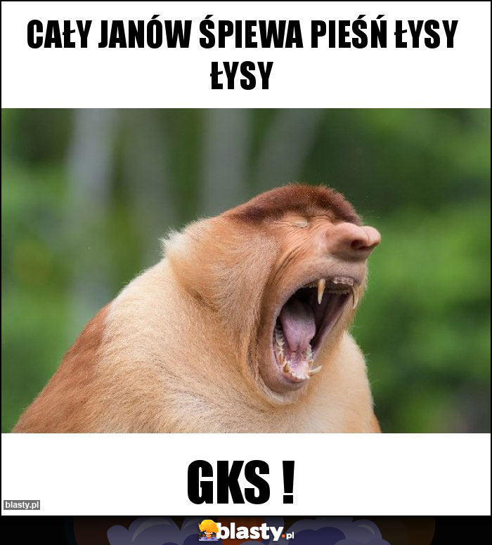 Cały Janów śpiewa pieśń łysy łysy