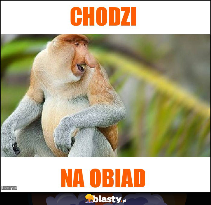 Chodzi