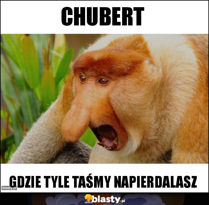 chubert