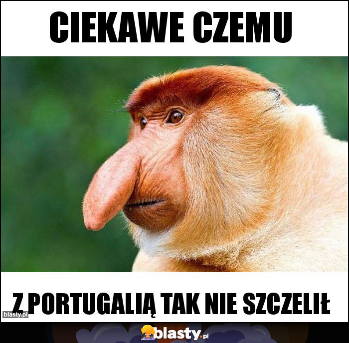 ciekawe czemu