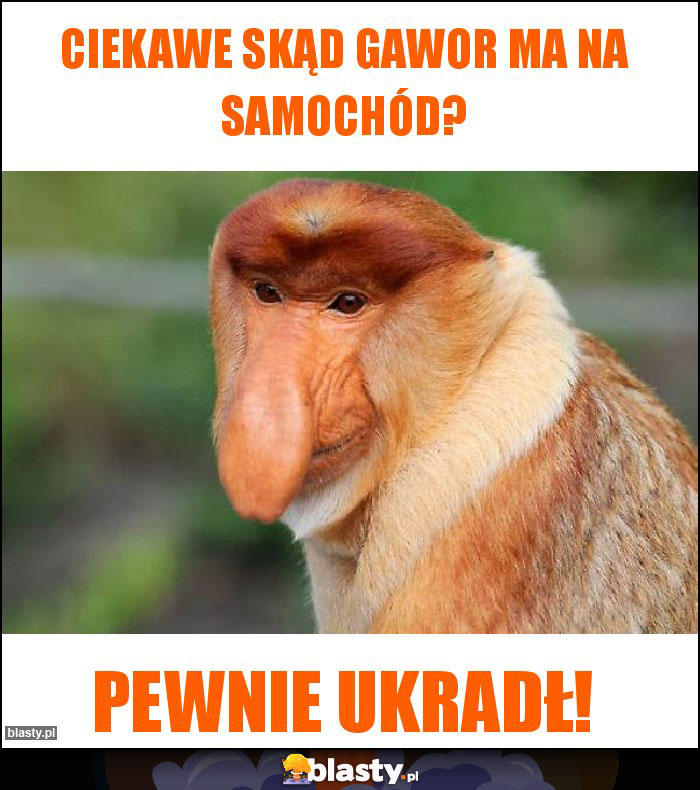 Ciekawe skąd Gawor ma na samochód?