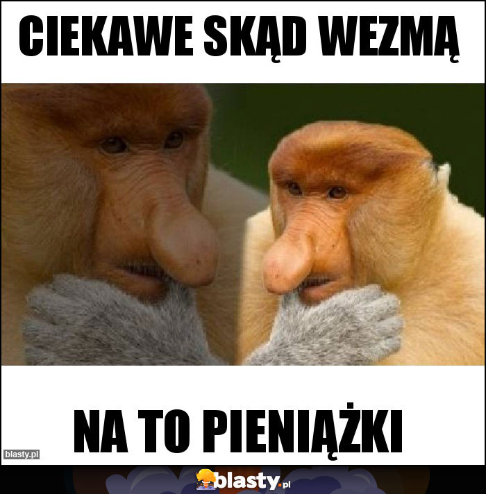 Ciekawe skąd wezmą