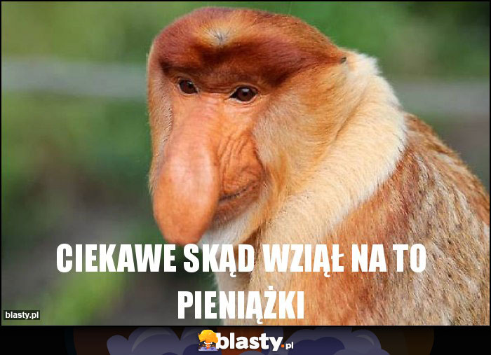 ciekawe skąd wziął na to pieniążki