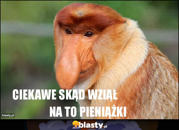 ciekawe skąd wziął                      na to pieniążki