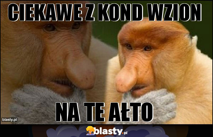 CIEKAWE Z KOND WZION