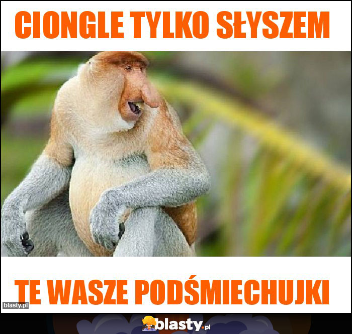 Ciongle tylko słyszem