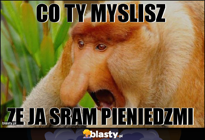 co ty myslisz