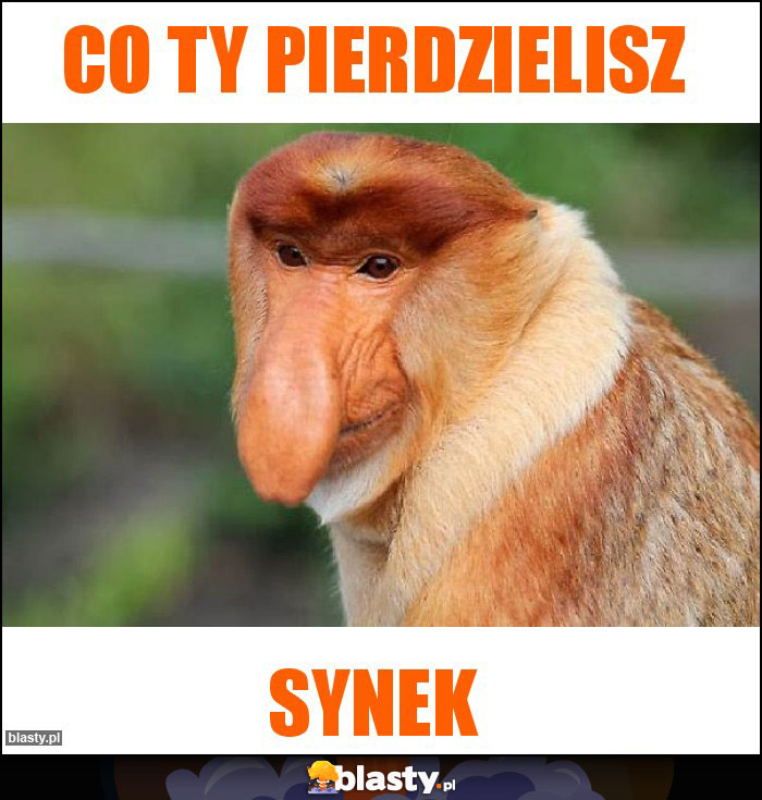 Co ty pierdzielisz