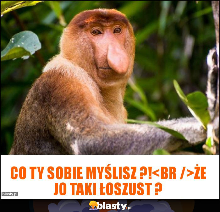 Co ty sobie myślisz ?!
Że jo taki łoszust ?