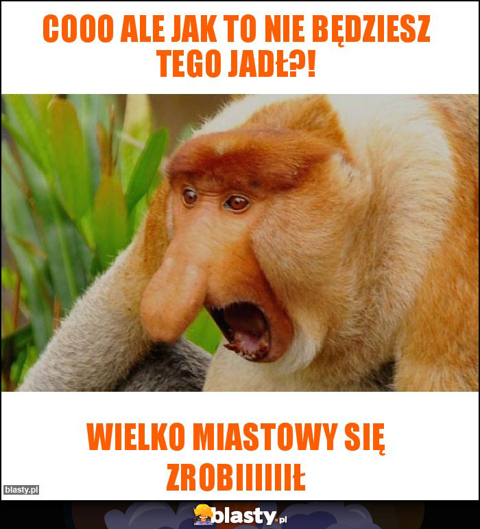 COOO ALE JAK TO NIE BĘDZIESZ TEGO JADŁ?!