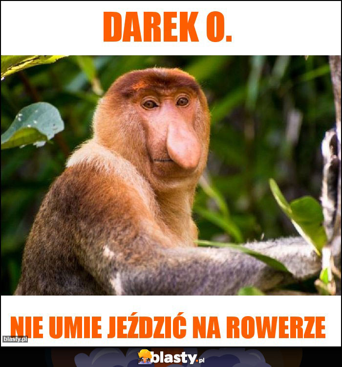 Darek O.