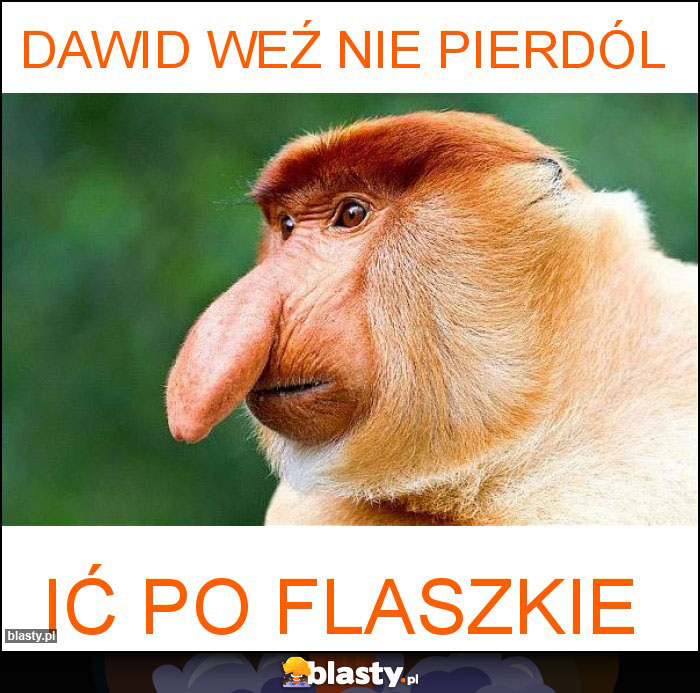 Dawid weź nie pierdól