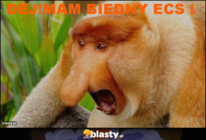 DEJ!MAM BIEDNY ECS !