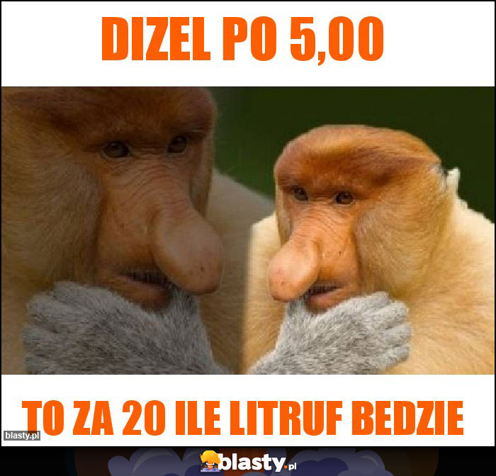 Dizel po 5,00