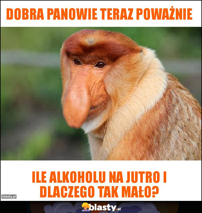 Dobra panowie teraz poważnie