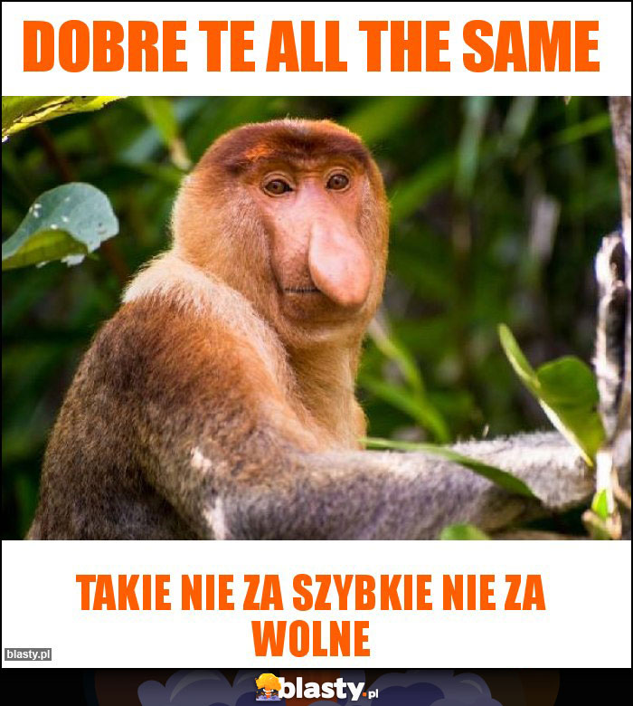 Dobre te All the Same