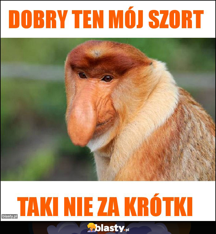 Dobry ten mój szort