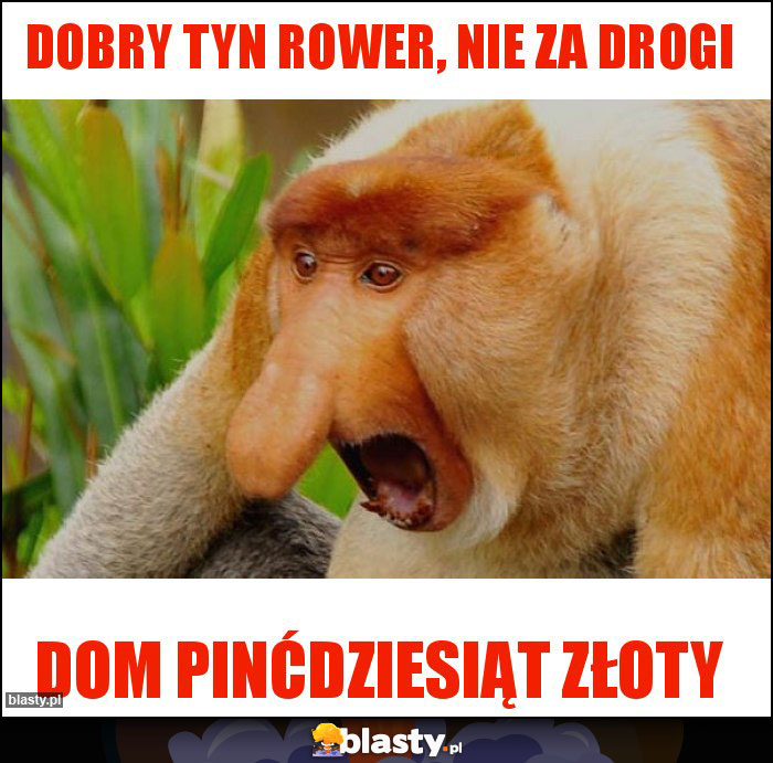 Dobry tyn rower, nie za drogi