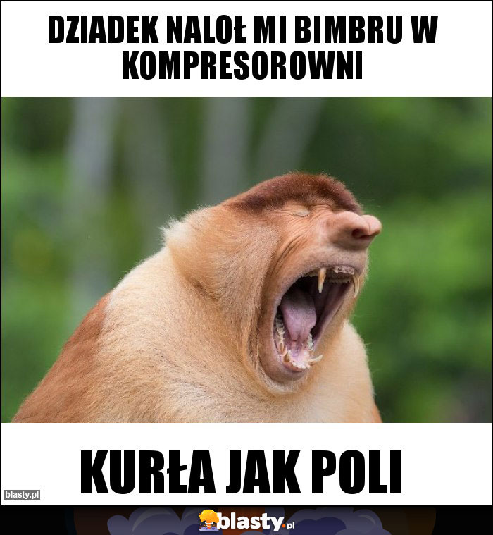 Dziadek naloł mi bimbru w kompresorowni