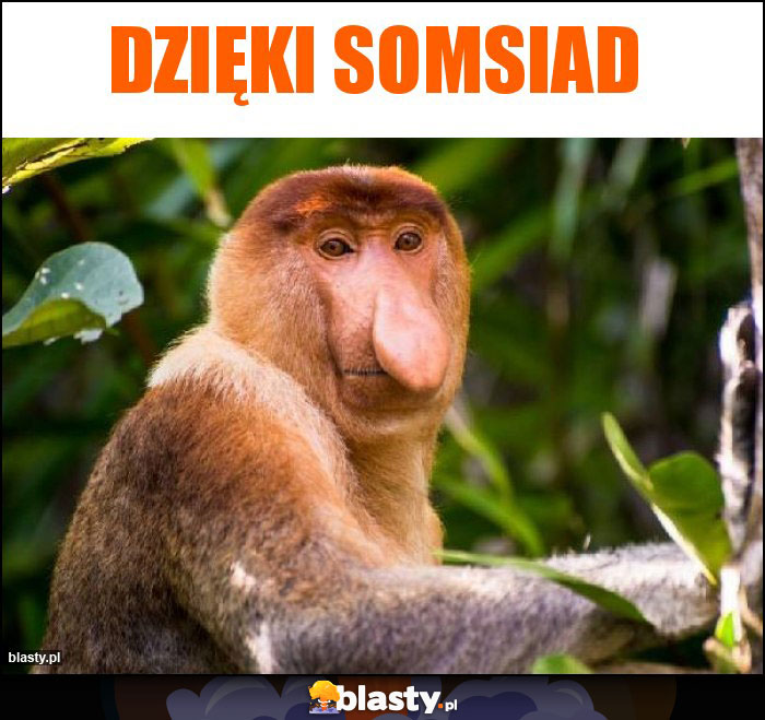 Dzięki somsiad