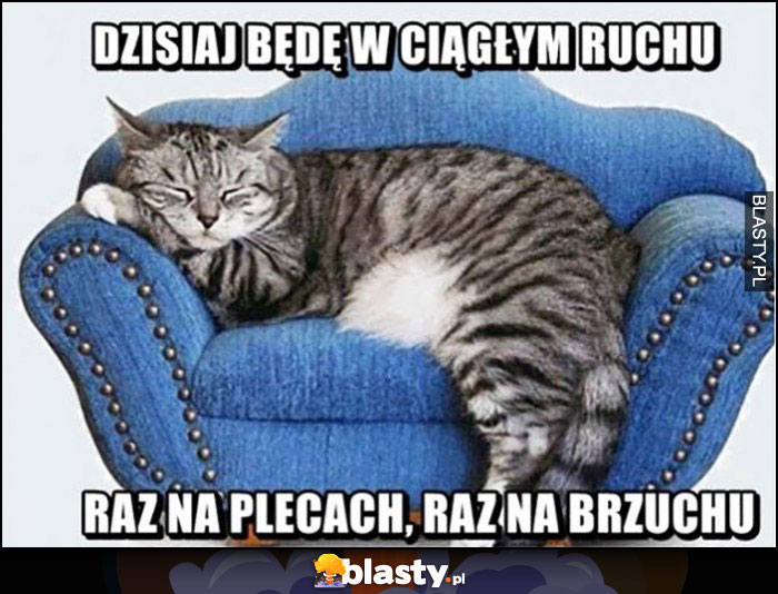 Dzisiaj będę w ciągłym ruchu, raz na plecach, raz na brzuchu kot śpi