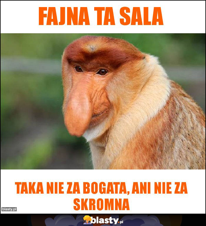 Fajna ta sala