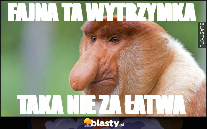 Fajna ta wytrzymka