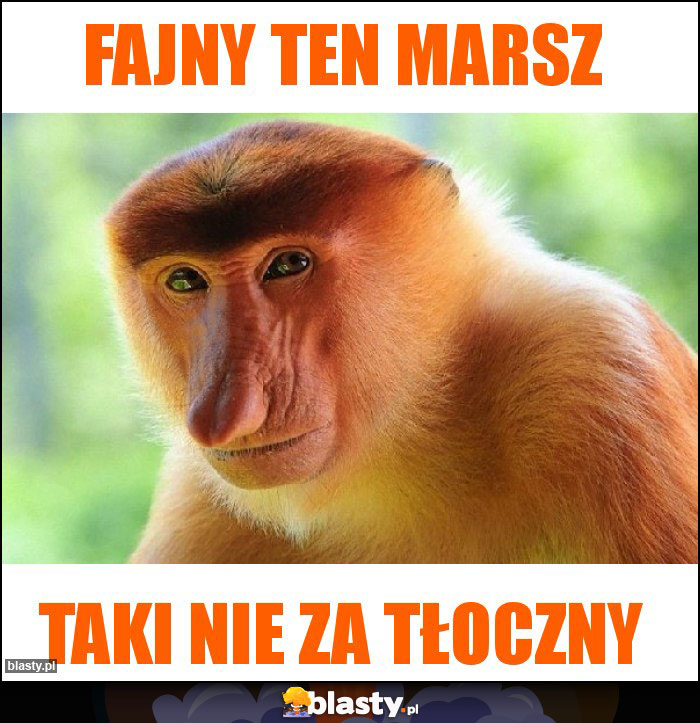 Fajny ten marsz