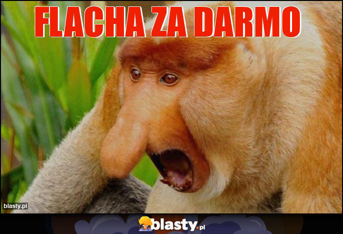 flacha Za Darmo