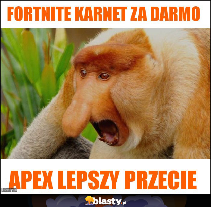 FORTNITE KARNET ZA DARMO