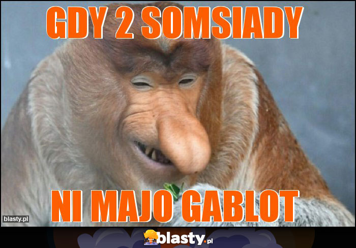 gdy 2 somsiady