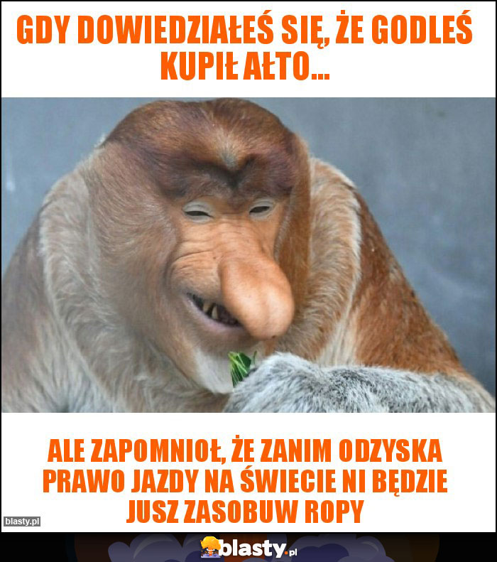 Gdy dowiedziałeś się, że Godleś kupił ałto...