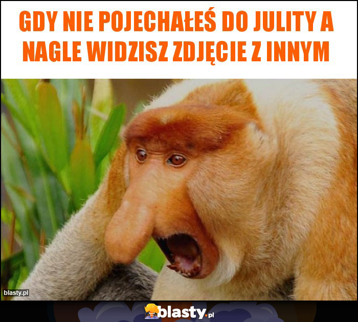 Gdy nie pojechałeś do Julity a nagle widzisz zdjęcie z innym