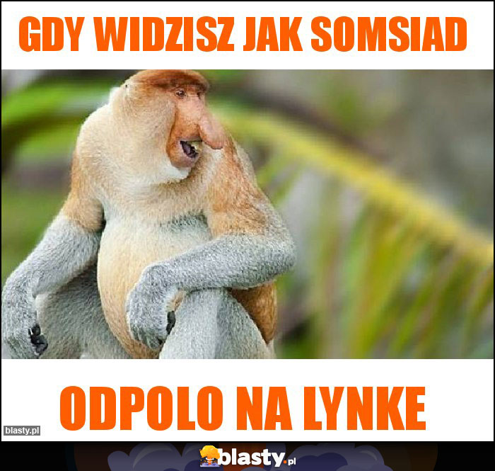 gdy widzisz jak somsiad