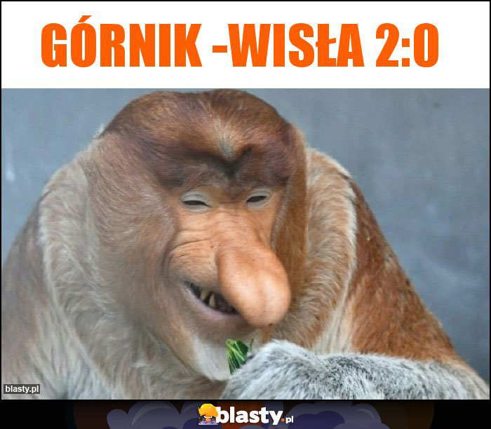 Górnik -wisła 2:0