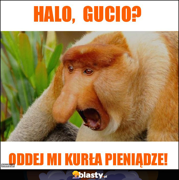 Halo,  Gucio?