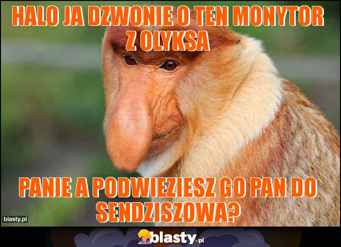 halo ja dzwonie o ten monytor z olyksa