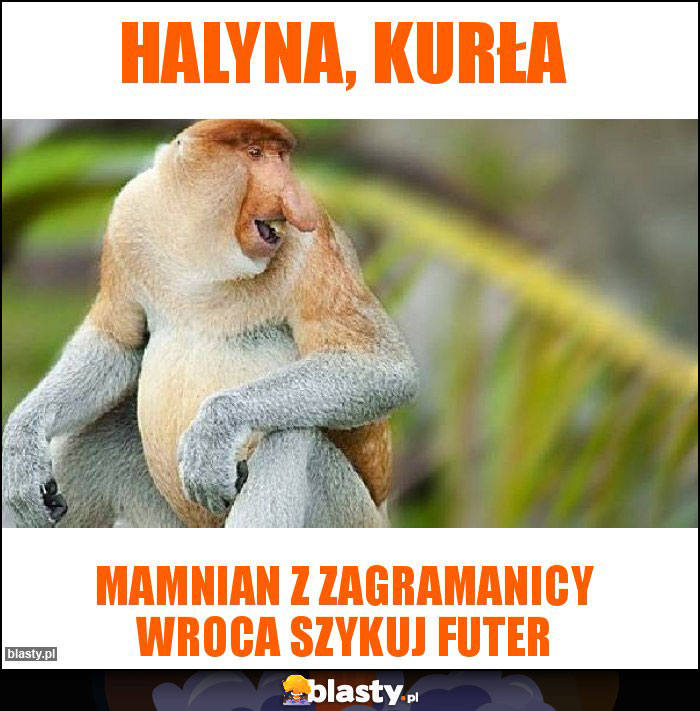 Halyna, kurła