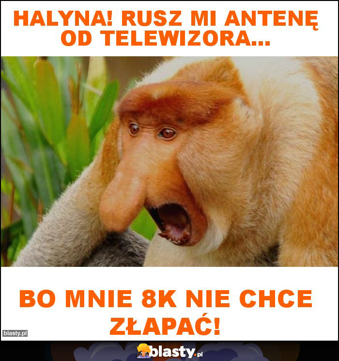 Halyna! rusz mi antenę od telewizora...