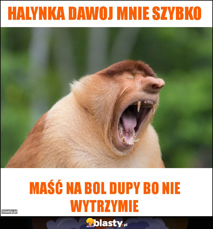 Halynka dawoj mnie szybko